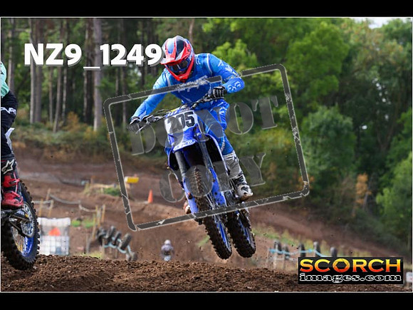 Experts-079