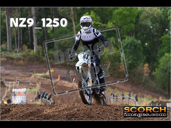 Experts-080