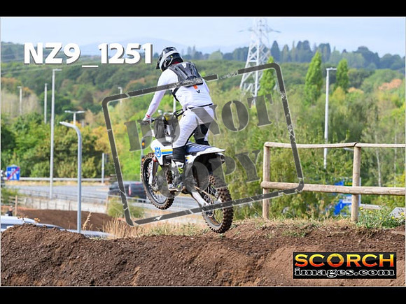Experts-081