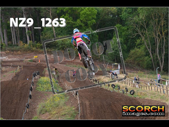 Experts-093