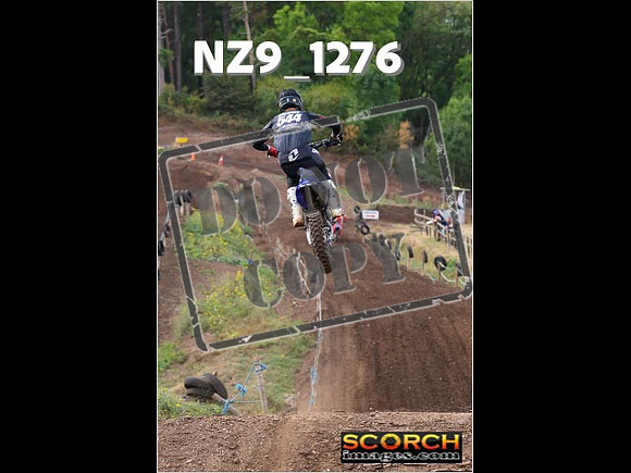 Experts-106