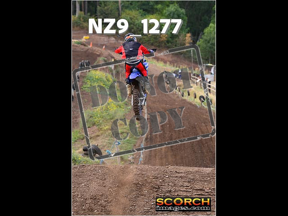 Experts-107