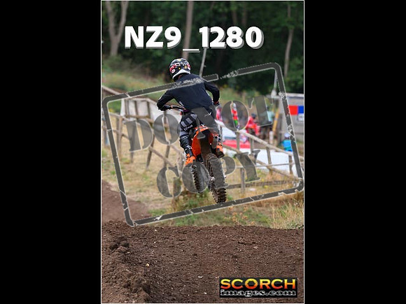 Experts-110
