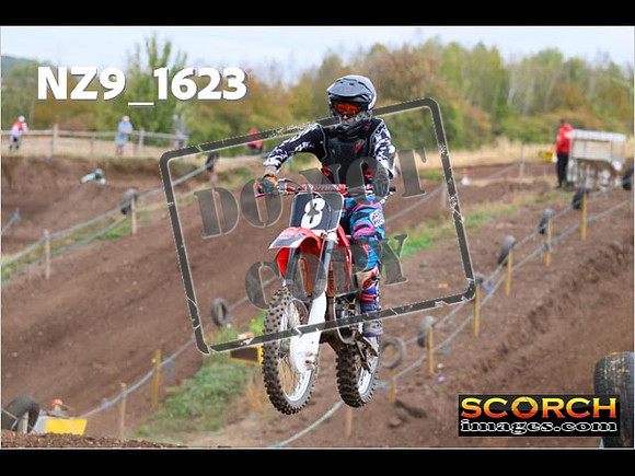 Inters-119
