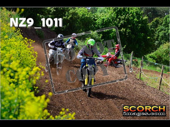 IntersGreen-075