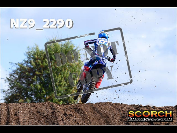 Experts-032