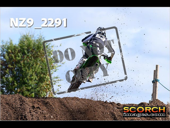 Experts-033