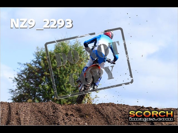 Experts-035