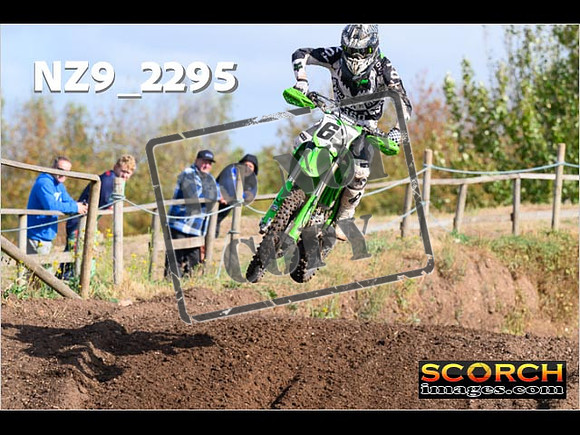 Experts-037