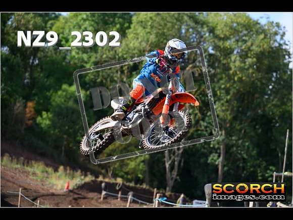 Experts-043