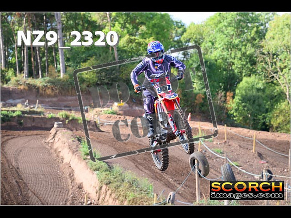 Experts-058