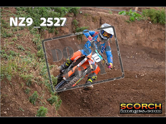 Experts-059