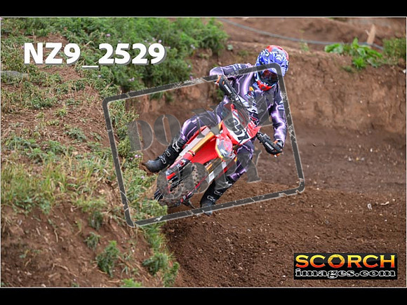 Experts-061