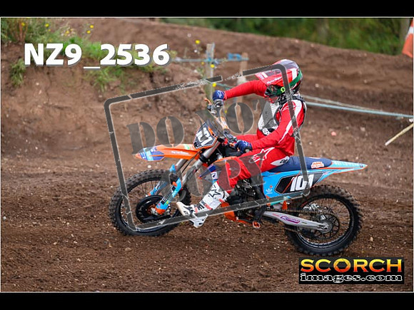 Experts-068
