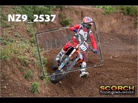 Experts-069
