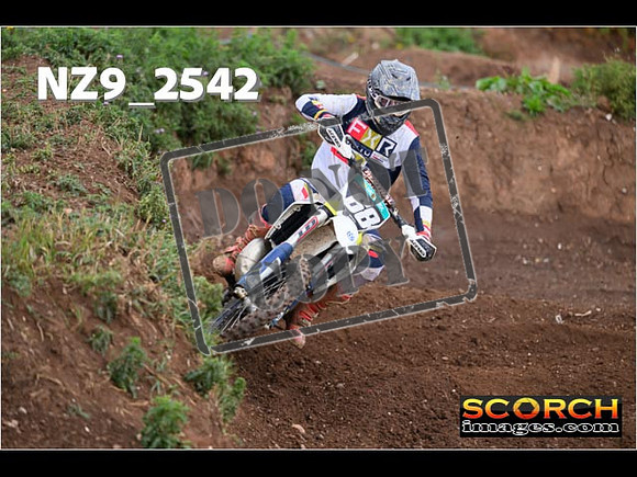 Experts-074