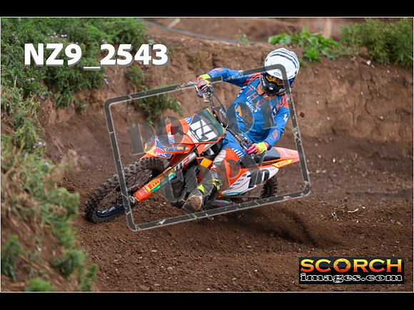 Experts-075