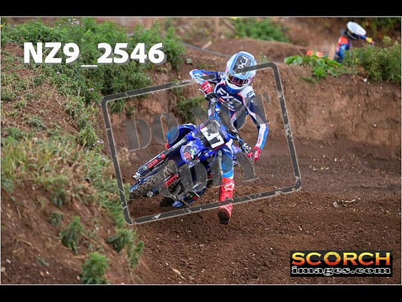 Experts-077
