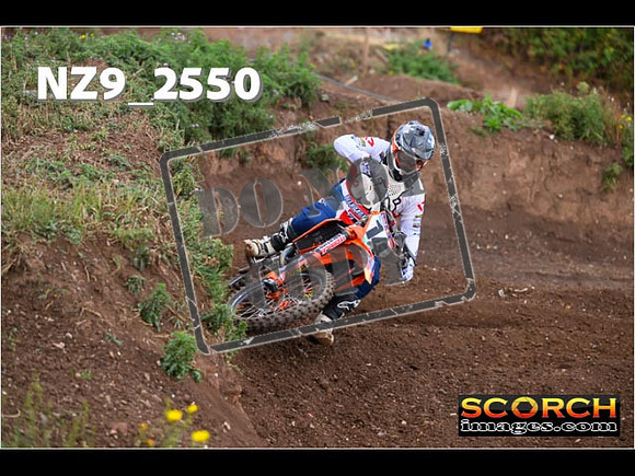 Experts-081