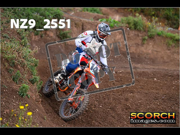 Experts-082
