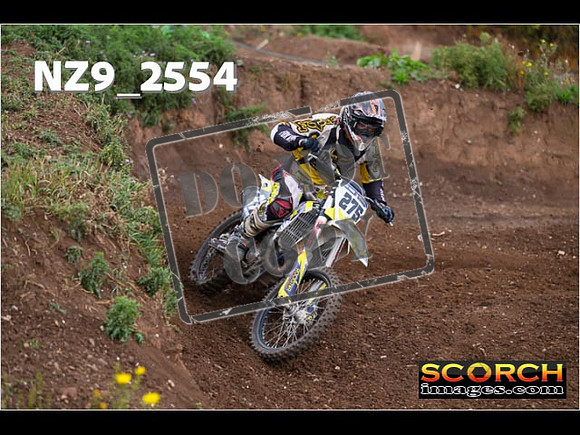 Experts-085