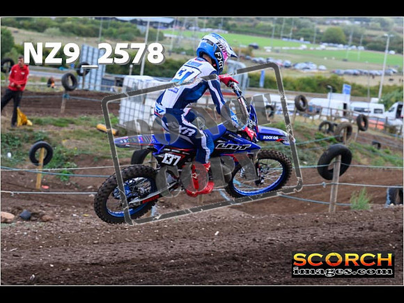 Experts-106