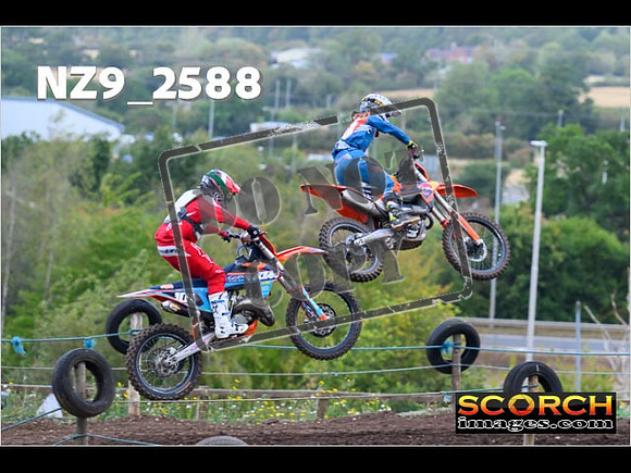 Experts-116