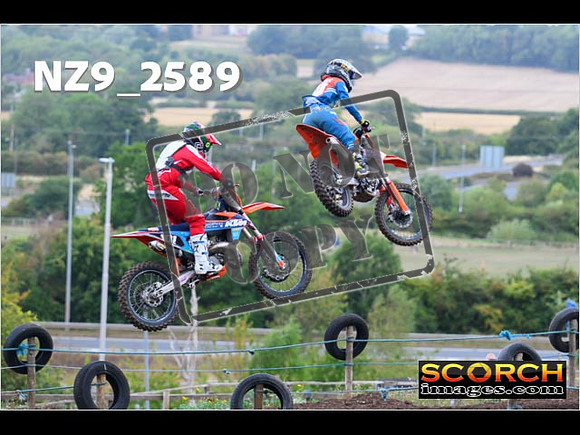 Experts-117