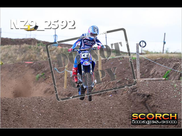Experts-120