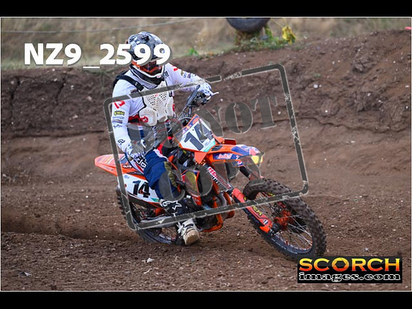 Experts-126