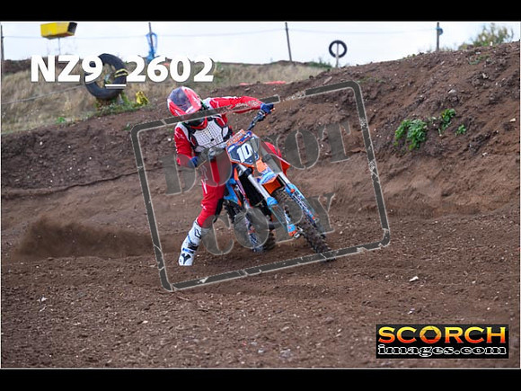 Experts-129