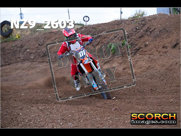 Experts-130