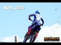 Experts-016