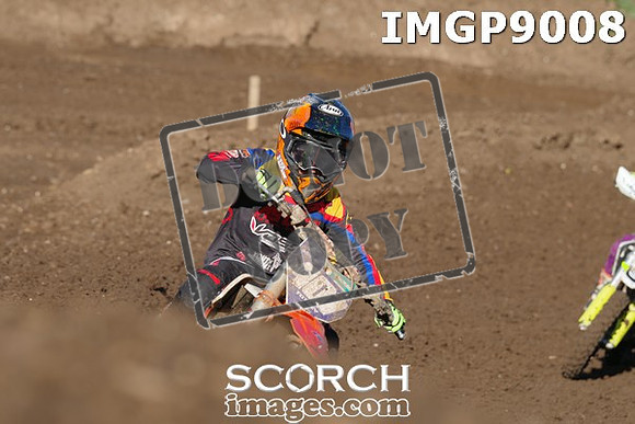 IMGP9008