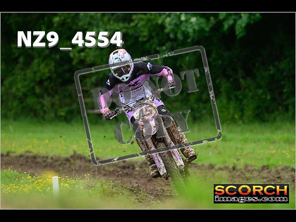 Experts-270