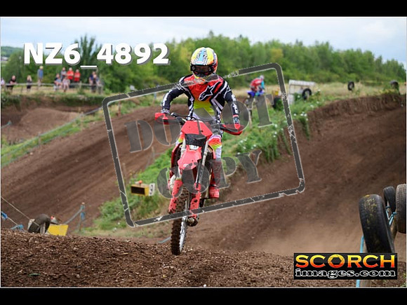 Experts-088