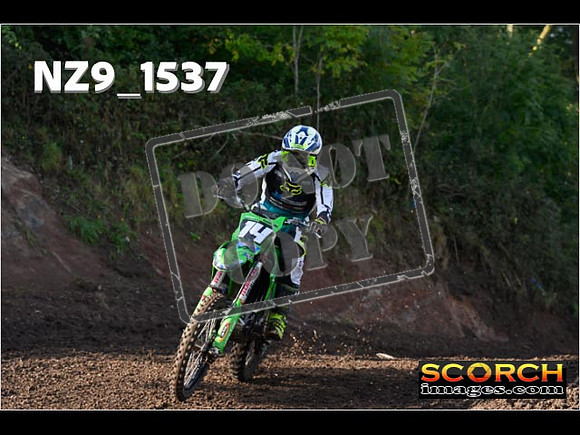 Experts-223