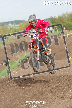 IMGP0388