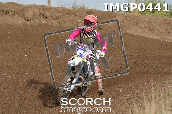 IMGP0441