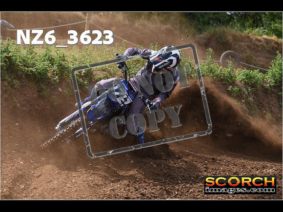 Experts-049