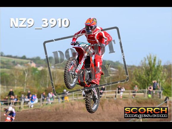 Experts-039