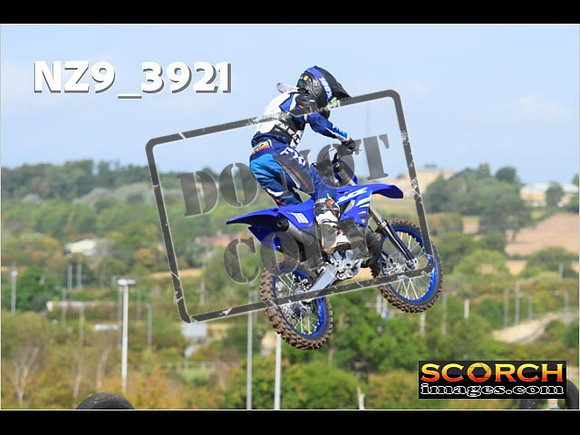 Experts-049