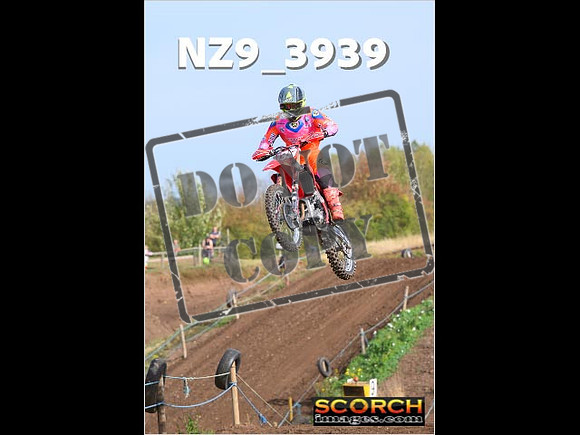 Experts-067