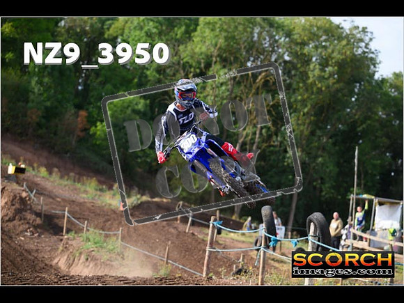 Experts-077