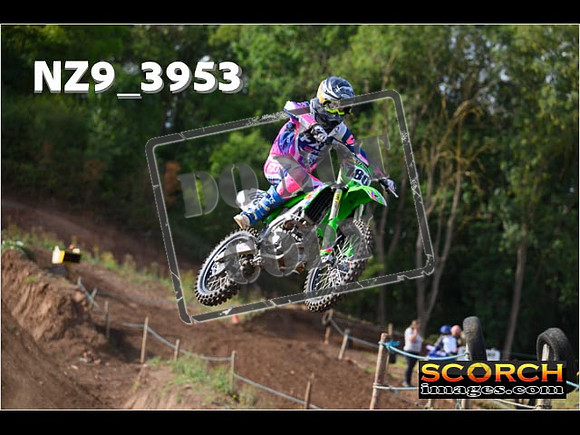 Experts-079
