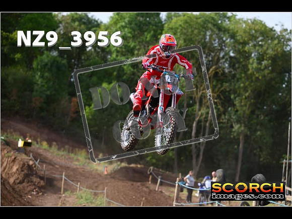 Experts-081