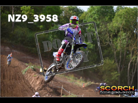 Experts-082