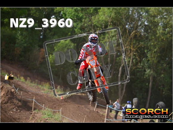 Experts-083