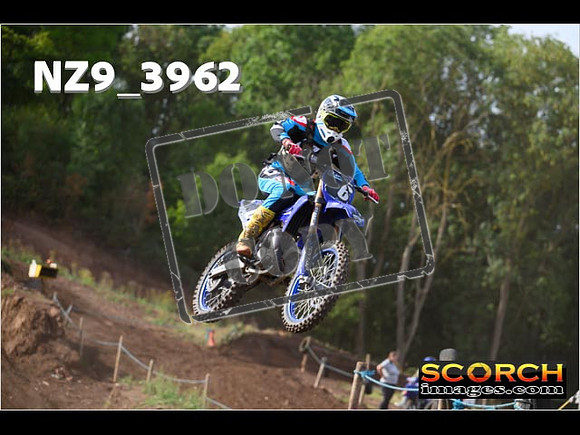 Experts-084