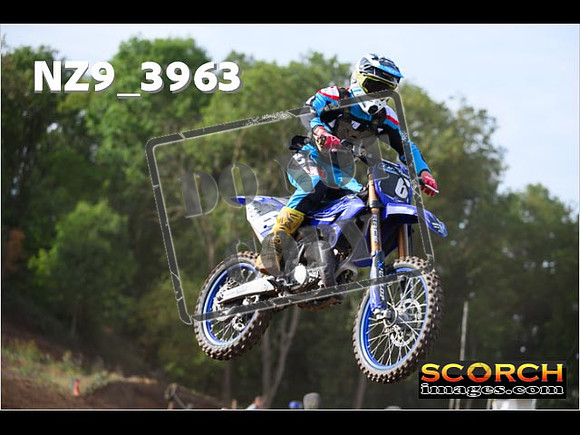 Experts-085